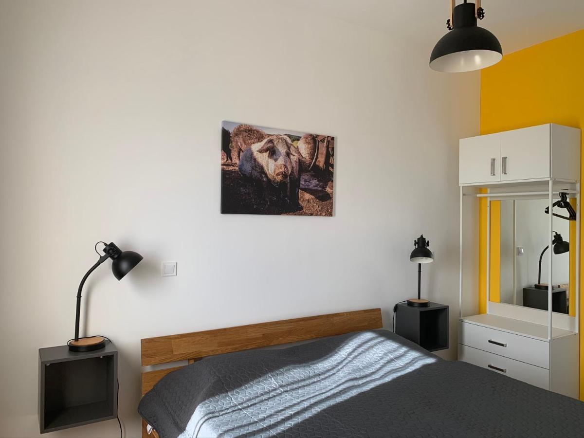 Oeregtoelgy Apartman Szár Dış mekan fotoğraf